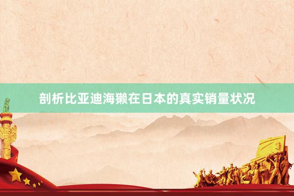 剖析比亚迪海獭在日本的真实销量状况