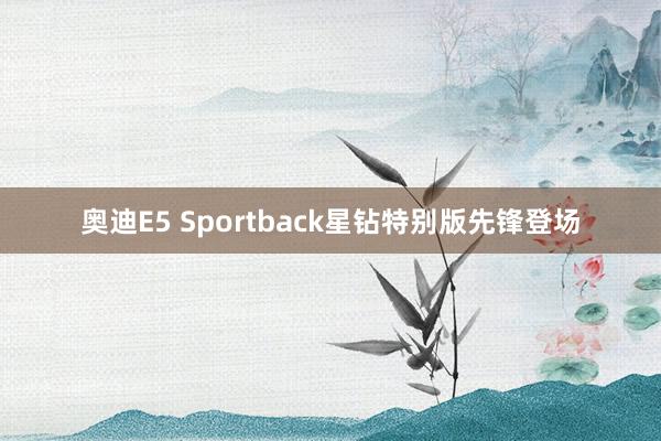 奥迪E5 Sportback星钻特别版先锋登场