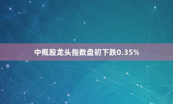 中概股龙头指数盘初下跌0.35%