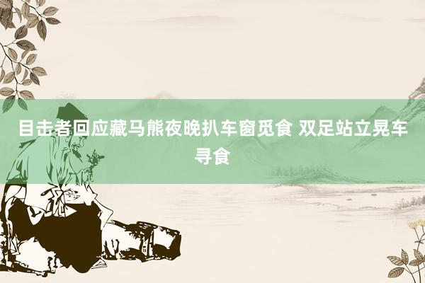 目击者回应藏马熊夜晚扒车窗觅食 双足站立晃车寻食