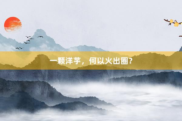 一颗洋芋，何以火出圈？
