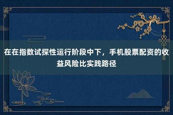 在在指数试探性运行阶段中下，手机股票配资的收益风险比实践路径
