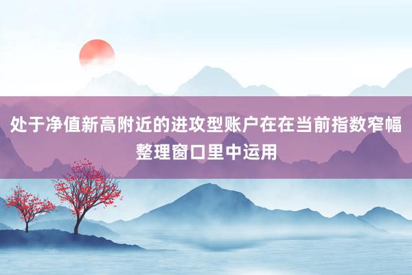 处于净值新高附近的进攻型账户在在当前指数窄幅整理窗口里中运用